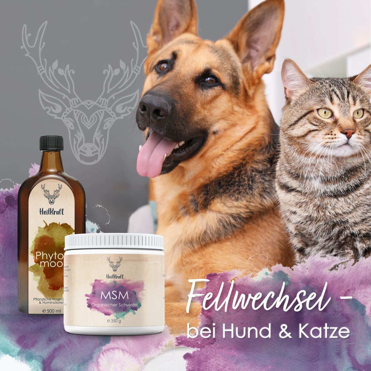 Heilkraft Haut & Fell für Tiere