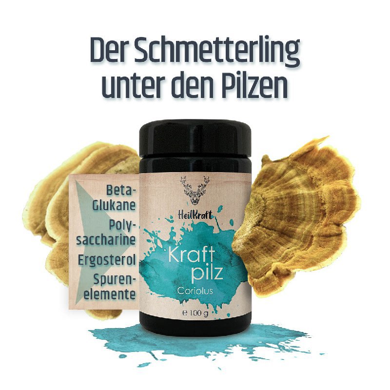 Heilkraft Vitalpilze für Tiere